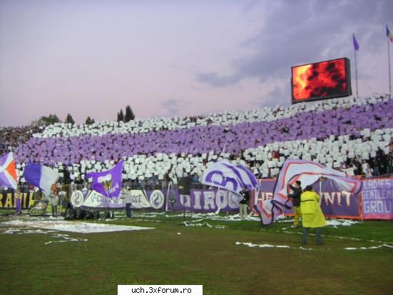 poli timisoara gen