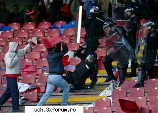 foto tot