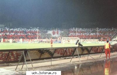 dinamo gen