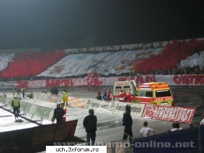 dinamo gen