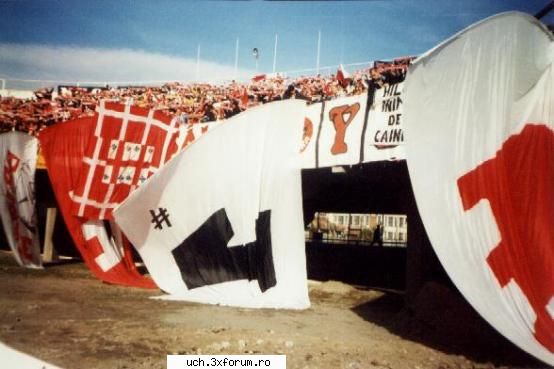 dinamo gen