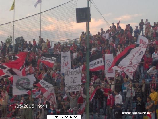 dinamo gen