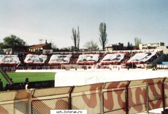 dinamo gen