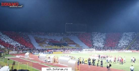 dinamo gen