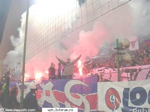 steaua gen