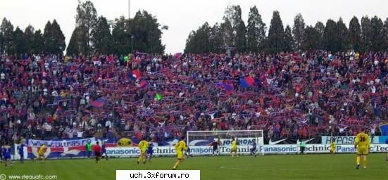 steaua gen