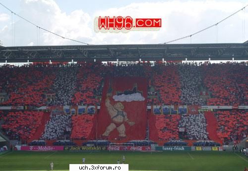poze ultra' wilde horde, fckoln