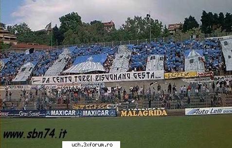 coregrafii ascoli