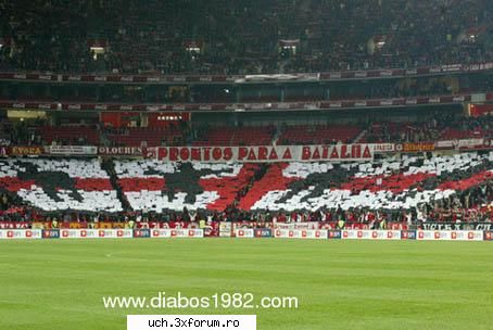 coregrafii benfica