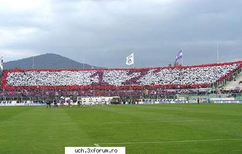 coregrafii fiorentina