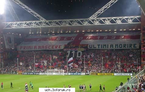 coregrafii genoa