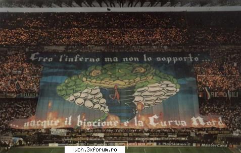 coregrafii inter