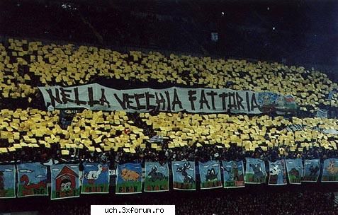 coregrafii inter
