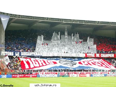 coregrafii psg