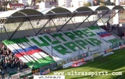 coregrafii rapid vienna