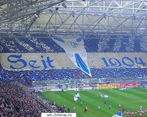 coregrafii schalke