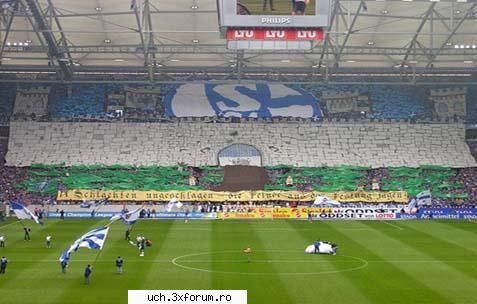 coregrafii schalke