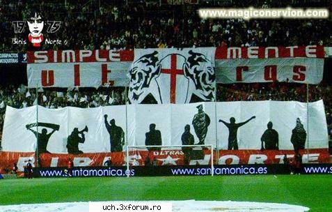 coregrafii sevilla