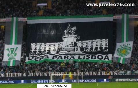 coregrafii sporting