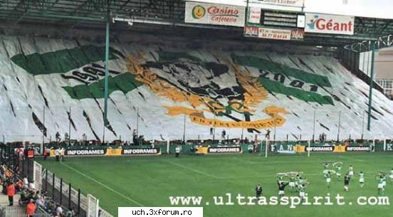coregrafii st.etienne