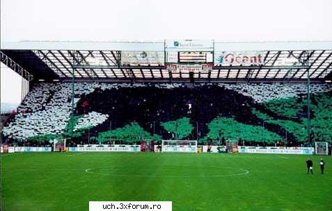coregrafii st.etienne