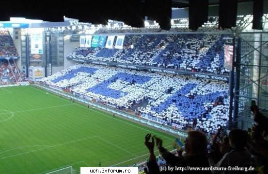 Coregrafii - 1_Admin - | Ultras |
