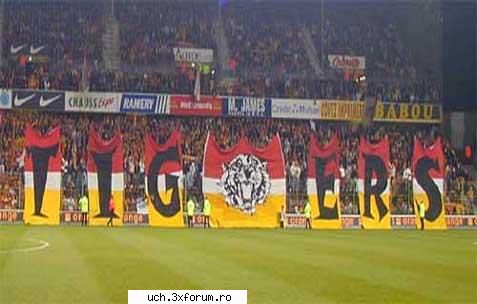 Coregrafii - 1_Admin - | Ultras |