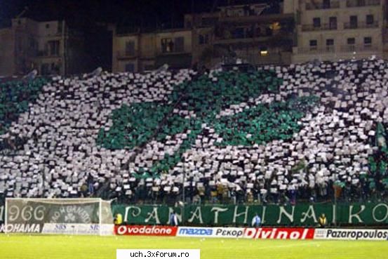 Coregrafii - 1_Admin - | Ultras |
