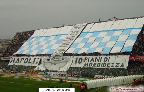 Coregrafii - 1_Admin - | Ultras |