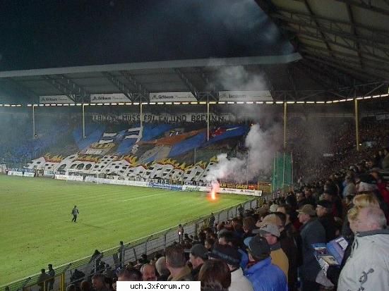 Coregrafii - 1_Admin - | Ultras |