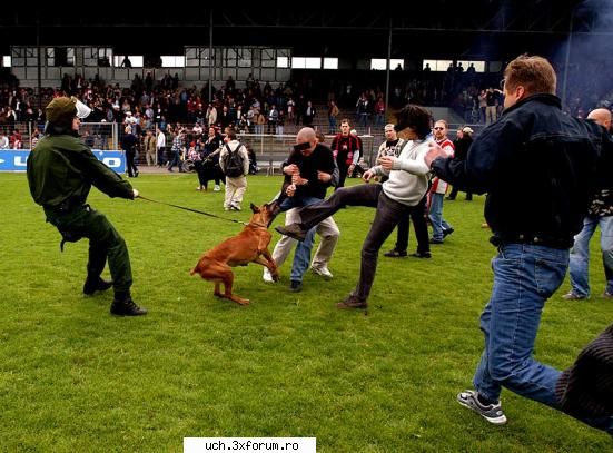 Foto - 1_Admin - | A.C.A.B. - Muie garda |