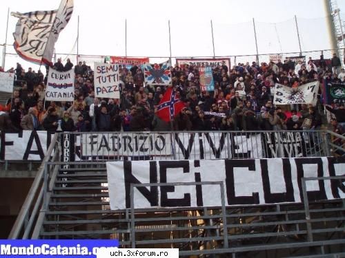 Foto Ultra' - 1_Admin - | Foto |