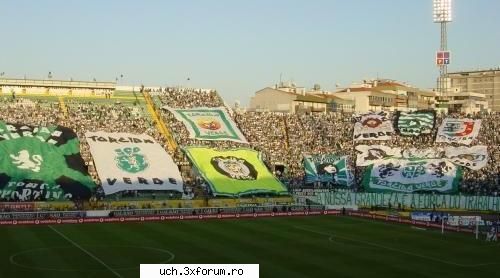Poze Ultra' - 1_Admin - | Foto |