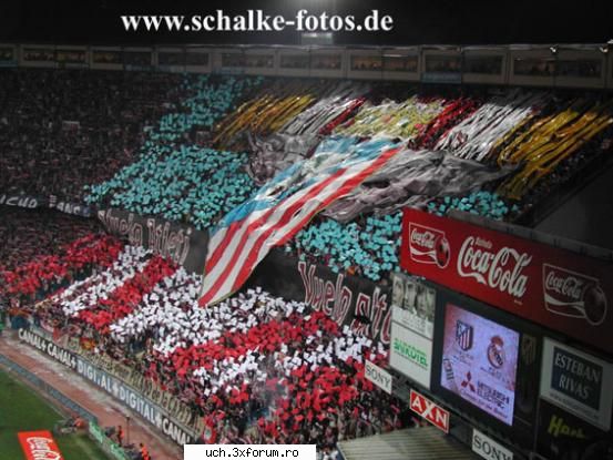 Poze Ultra' - 1_Admin - | Foto |