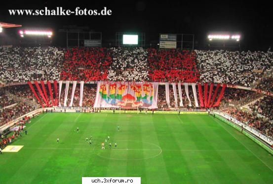 Poze Ultra' - 1_Admin - | Foto |