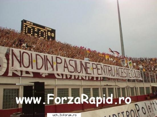 Rapid - 1_Admin - | Ultras |
