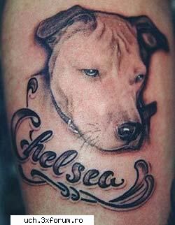 Tatuaje - 1_Admin - | Orice - Muie presa |